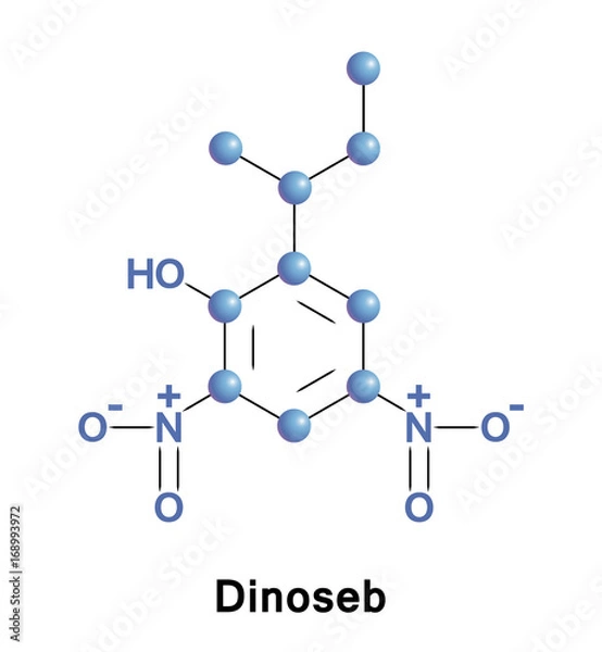 Fototapeta Dinoseb herbicide dinitrophenol