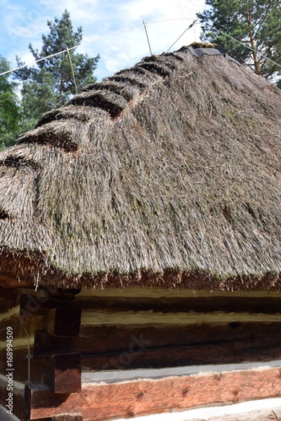 Obraz Chata pod strzechą