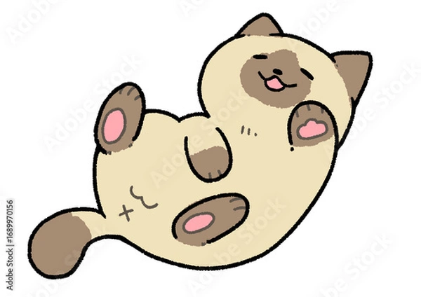 Fototapeta ごろん猫(茶シャム)