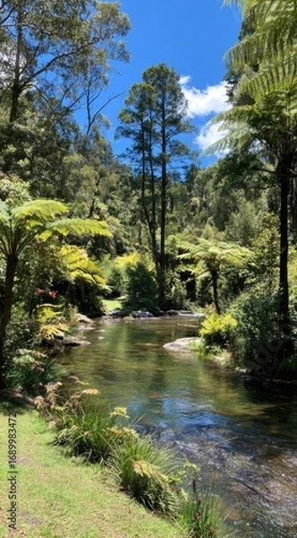 Obraz Tranquil stream flowing through lush ferns & dense forest under a blue, partly cloudy sky on a sunny day