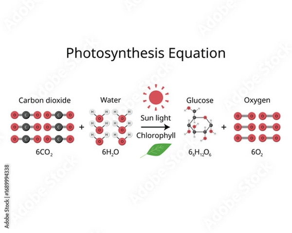Fototapeta Photosynthesis Equation formula for Carbon Dioxide, Water, Glucose, and Oxygen