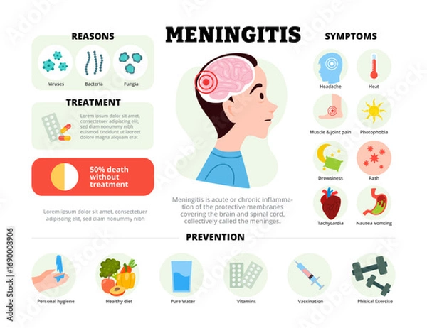 Fototapeta Meningitis infographic design with man character. Vector poster template showing causes, symptoms, treatment, and prevention for medical education, healthcare awareness, chart illustration banner.