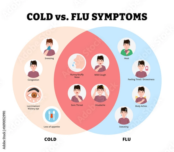 Fototapeta Cold or Flu infographic design with man character. Vector poster template showing causes, symptoms, treatment, and prevention for medical education, healthcare awareness, chart illustration banner.