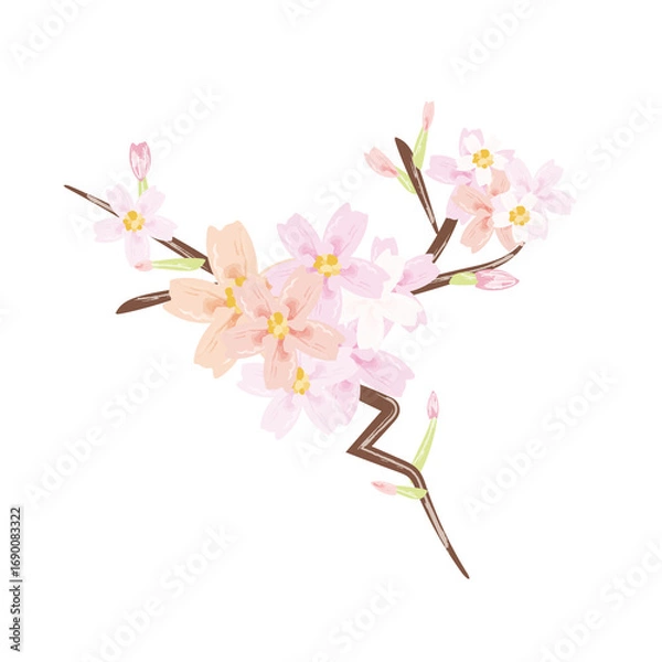 Fototapeta 左方向に枝分かれした桜の枝