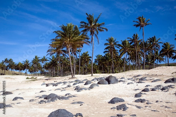 Obraz Easter Island - Anakena