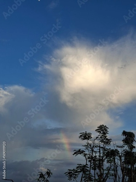 Fototapeta A scenic view of a blue sky with fluffy white clouds and a faint rainbow appearing above the trees. 