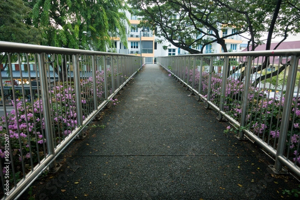 Obraz Pedestrian Overpass Walkway With Pink Flowers and Steel Handrails - Singapore