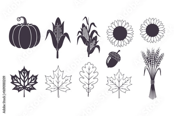 Fototapeta Autumn Harvest and Thanksgiving Elements Vector Illustration