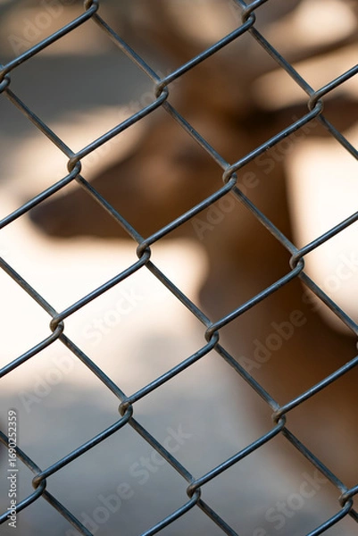 Obraz metal grid background