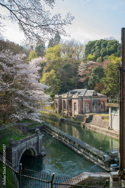 Fototapeta 京都蹴上ポンプ室と桜