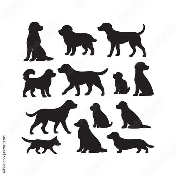 Fototapeta Silhouette of a bird in black on plain white background design