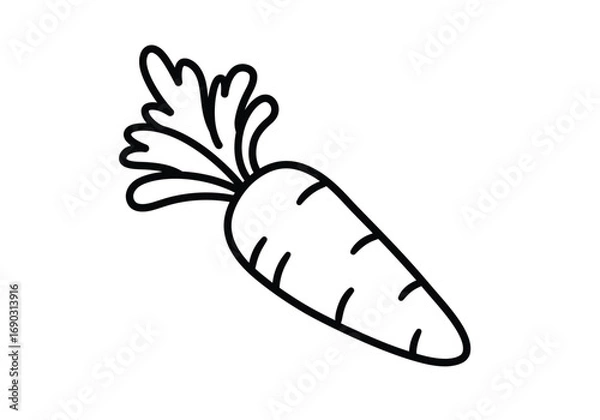 Fototapeta Carrot drawing. A simple line art sketch of a carrot, a popular root vegetable known for its bright orange color, sweet taste, and crunchy texture. Vector sketch line art draw.