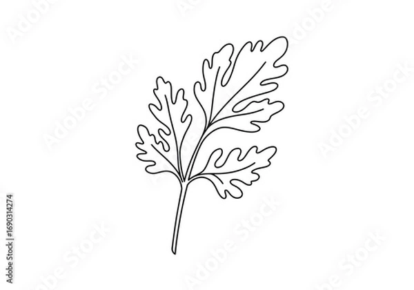 Fototapeta Carrot leaf drawing. It is a line art sketch of a carrot leaf, also known as carrot greens or fronds, featuring a delicate, fern-like appearance. Vector sketch line art draw.
