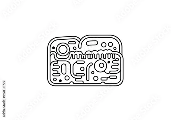 Fototapeta Cell wall drawing. It is a line art diagram of a plant cell wall, a rigid outer layer that provides structural support and protection to the cell. Vector sketch line art draw.