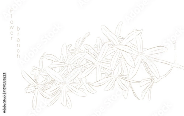 Fototapeta Hand drawn floral frames with flowers, branch and leaves. Elegant logo template. Vector illustration for labels, branding business identity, wedding invitation. Botanical Set Abstract Simple Illustrat