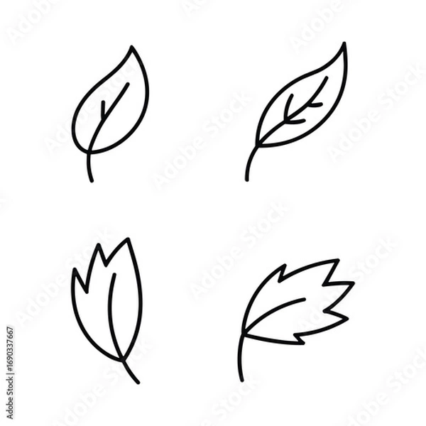 Fototapeta Simple hand drawn outline illustrations of four different leaf shapes