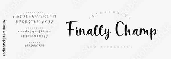 Fototapeta Signature Font Uppercase Lowercase And Number. Script Font Calligraphy Logotype  elegant Font Type Font lettering handwritten. vector illustration  
