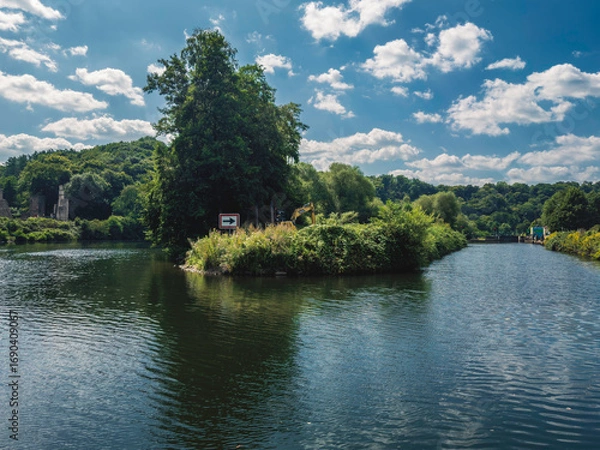 Obraz Grüne Insel im Fluss