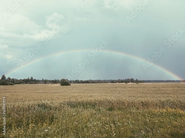 Fototapeta retro rainbow