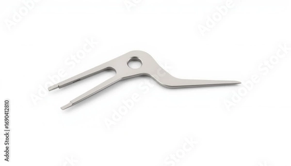 Obraz Metal tool for removing valve cores with two prongs on white background  