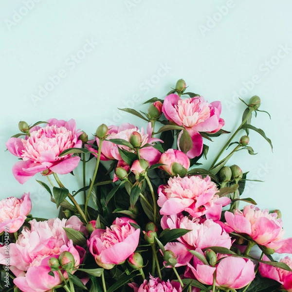 Fototapeta Beautiful pink peonies flowers bouquet on pale blue background. Flat lay, top view flowers pattern.