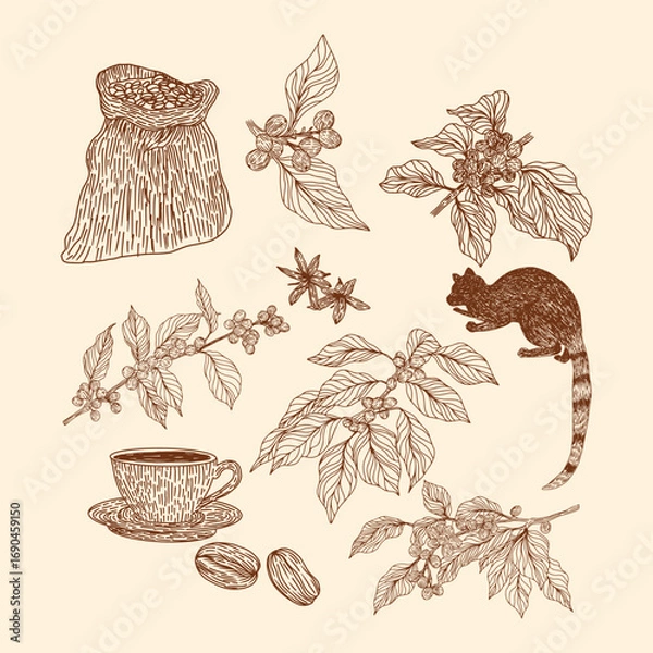 Obraz Hand Draw Vintage Coffee Elements Set