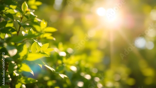 Fototapeta Sunlight filtering through vibrant green leaves, creating a sense of serenity and renewal