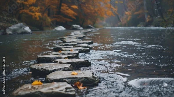 Fototapeta Serene forest river with stepping stones creating a peaceful escape into nature s beauty