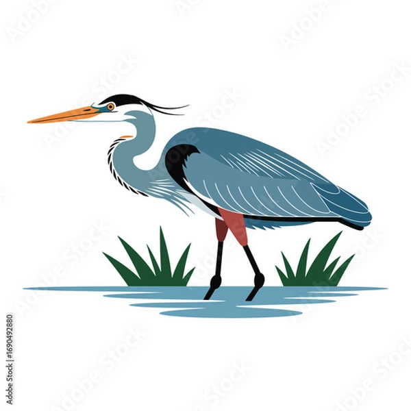 Obraz heron on a white background