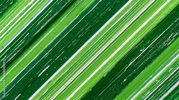Fototapeta Abstract Green Striped Background with Brush Strokes