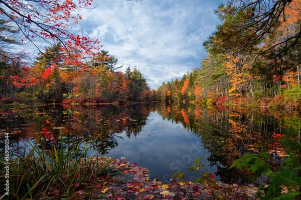 Fototapeta Autumn Reflections