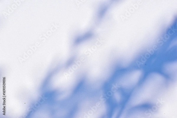 Fototapeta Shadow background