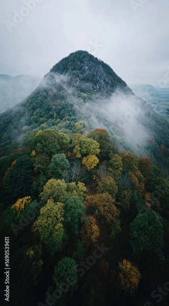 Fototapeta A tall, tree-covered peak rises amidst clouds on a cloudy day. The foliage shows autumnal hues in a misty valley setting