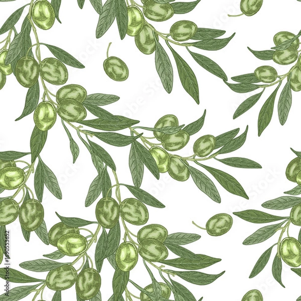 Obraz Olives seamless pattern. Hand drawn green olives branches isolated on white background. Vector illustration.