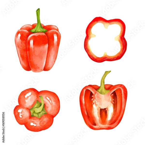 Fototapeta Hand-drawn watercolor style illustrations of red bell peppers. Includes a whole, sliced, half-cut, and top view pepper