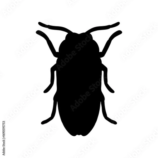Fototapeta Black silhouette image of a vector beetle. Black beetle illustration insect black and white