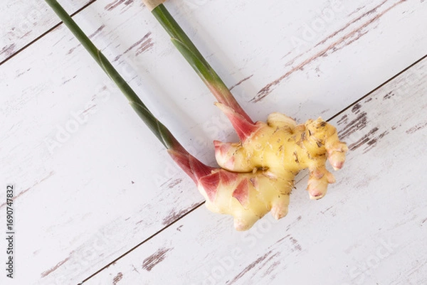 Obraz Fresh ginger from farmers market with stems intact.