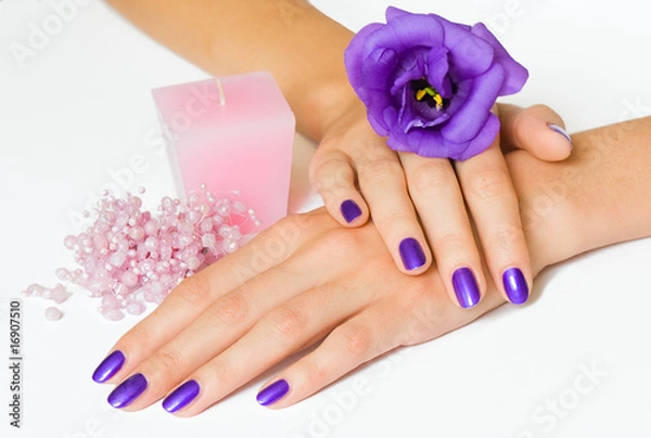 Obraz Hands with purple manicure and flower, pink candle and beads