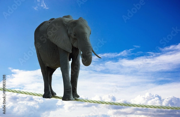 Fototapeta Rope isolated on white, transparent, 3d render