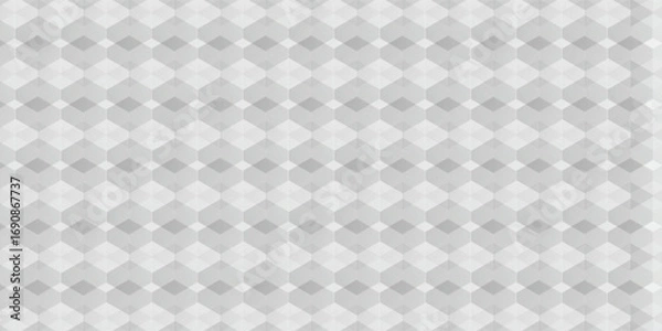 Fototapeta Grey and White Abstract background geometry shine and layer element concept hexagon structure vector illustration.eps.10