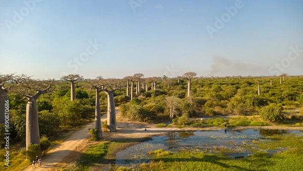 Fototapeta landscape with river
