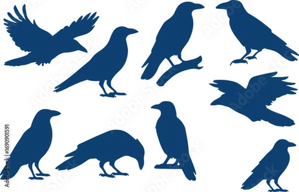 Fototapeta Crow silhouette vector set raven bird collection for gothic