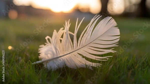 Fototapeta Dreamy white feather resting gently on lush green grass at sunset, evoking peace and tranquility, perfect for mindfulness, nature, or spiritual themes in branding and design projects