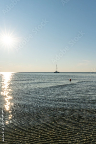 Fototapeta Die Ostseeküste der Insel Hiddensee im Sommer