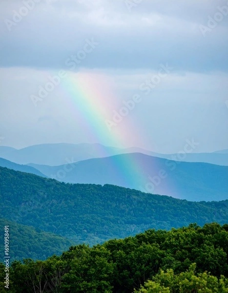 Fototapeta Colorful Gradient Background Wallpaper