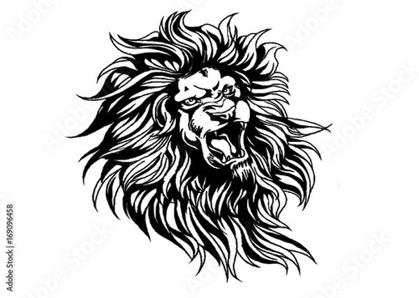 Fototapeta ライオン