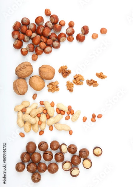 Fototapeta Set of different nuts on a light background. . Vertical photo format