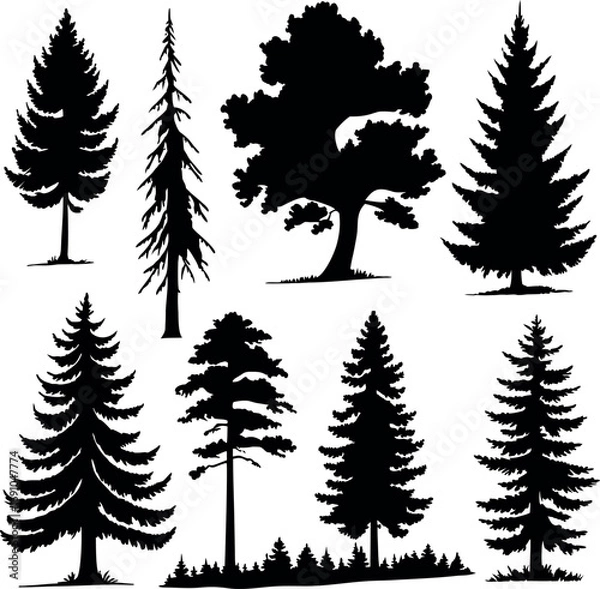 Obraz Stylized Evergreen Tree Icons Collection