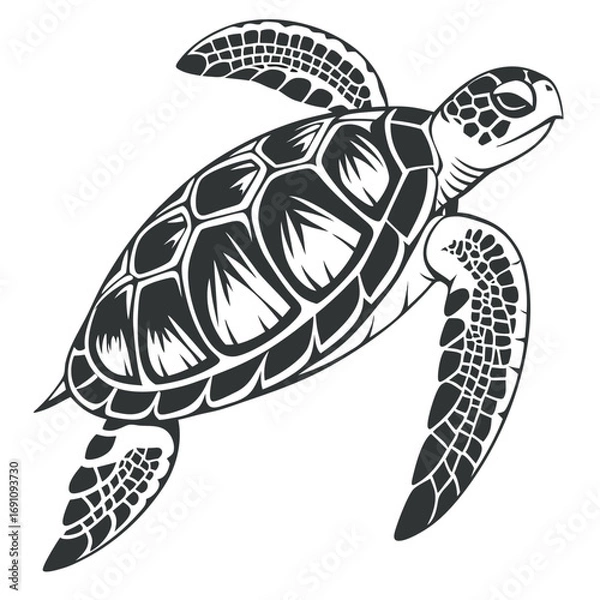 Obraz Stylized sea turtle illustration in black and white