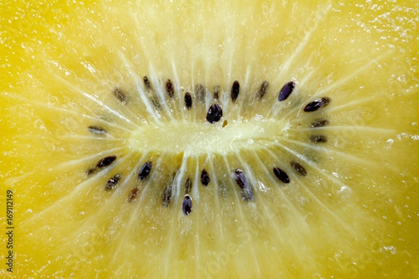 Obraz close up of SunGold kiwi fruit slices